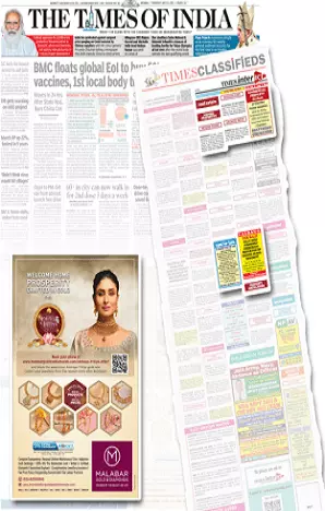 Dainik Bhaskar tearsheet proof